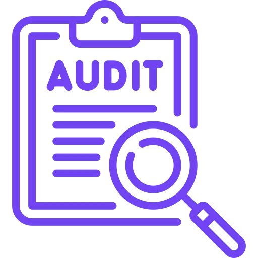 audit icon